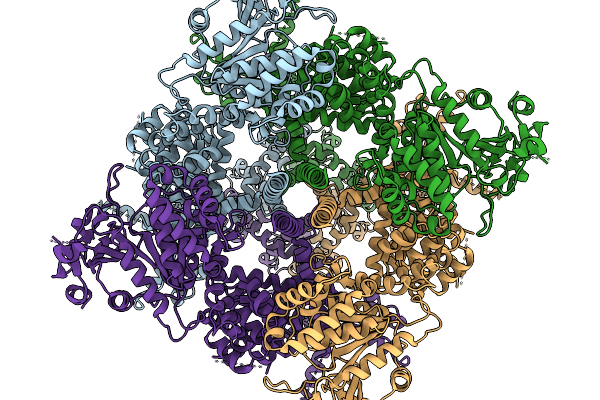 9P91 image