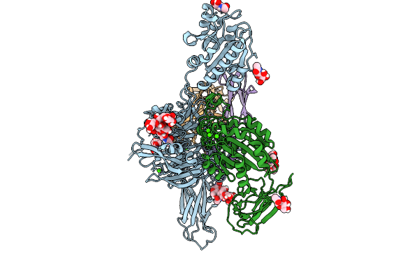9P97 image