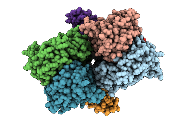 9P9B image