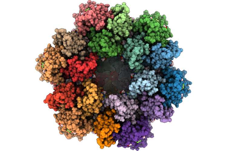 9P9M image