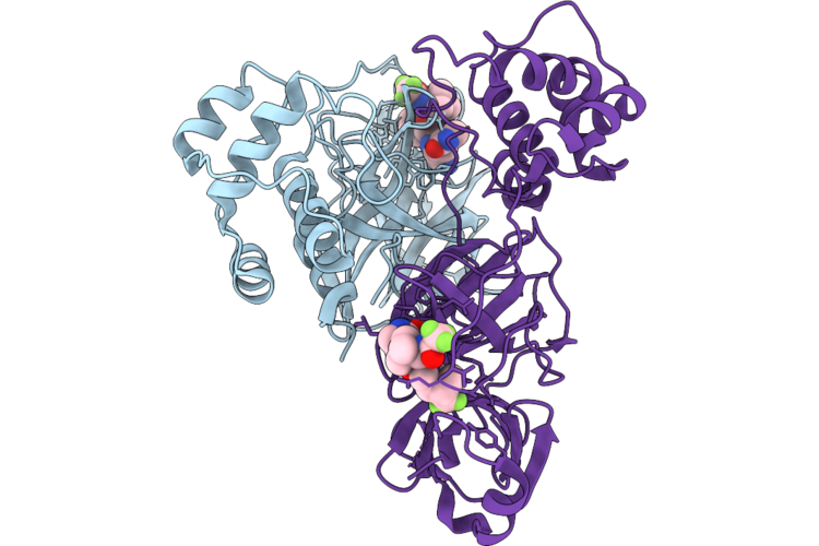 9PAB image