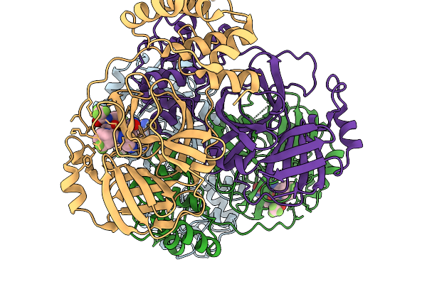 9PAC image