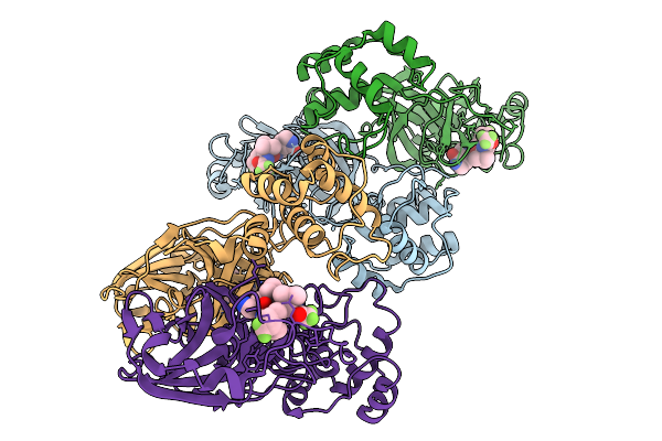9PAE image