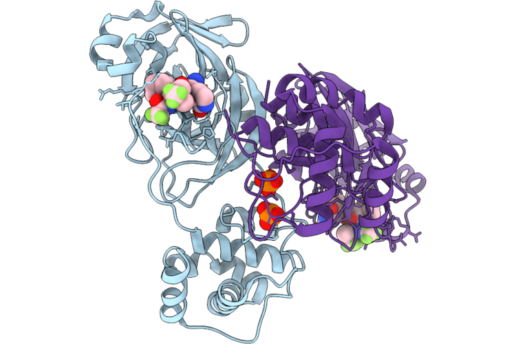 9PAH image