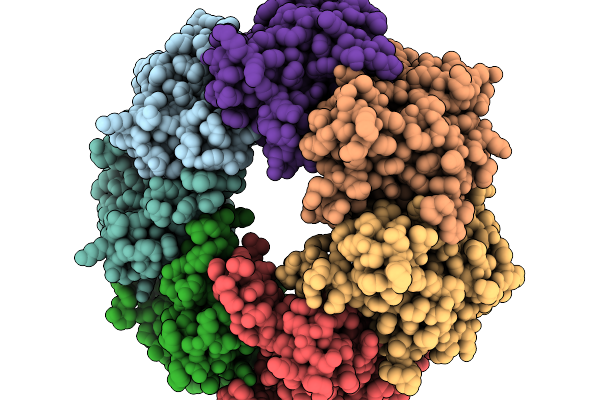 9PB1 image