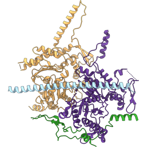 9PBT image
