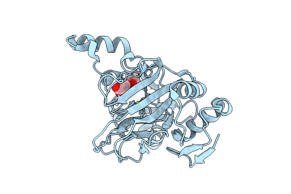 9PBU image
