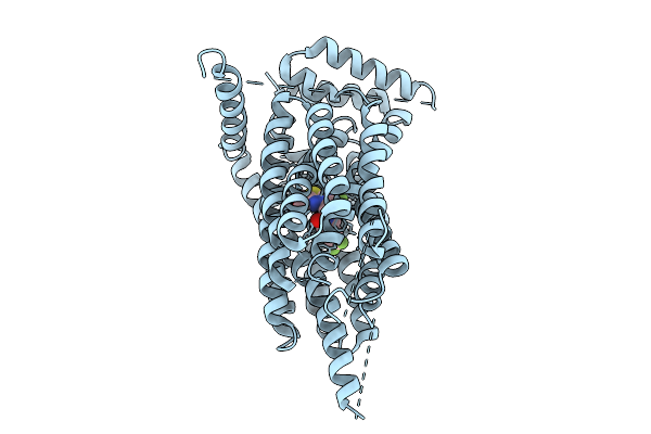 9PC9 image