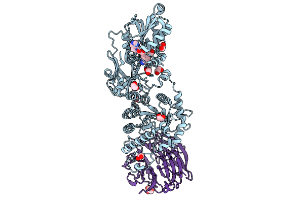 9PCA image