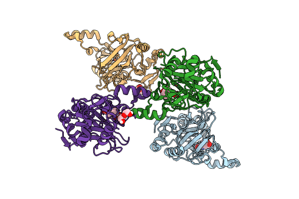 9PCL image