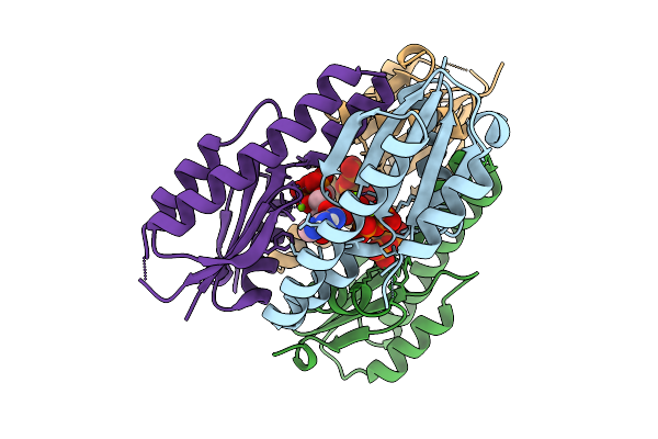 9PD0 image