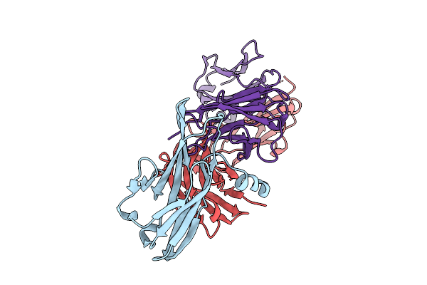 9PD2 image