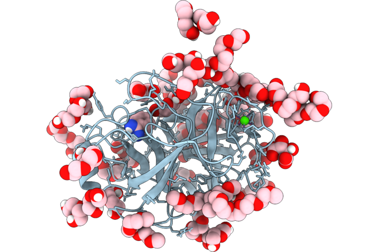 9PDC image
