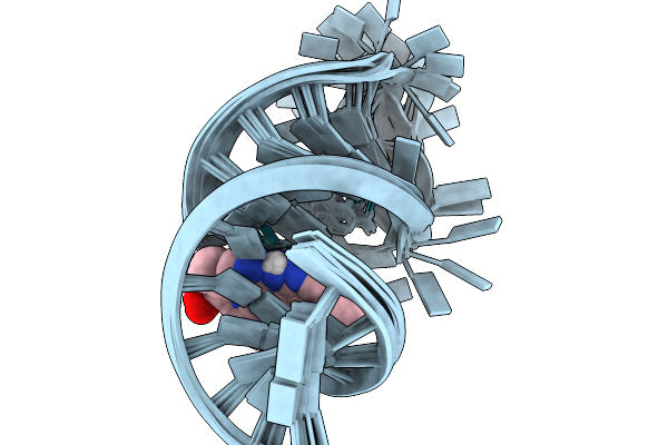 9PDG image