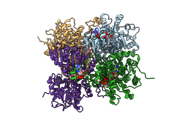 9PDH image