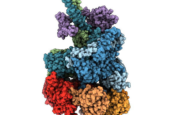9PDL image