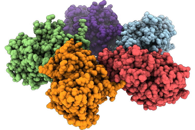 9PDM image