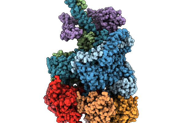 9PDN image
