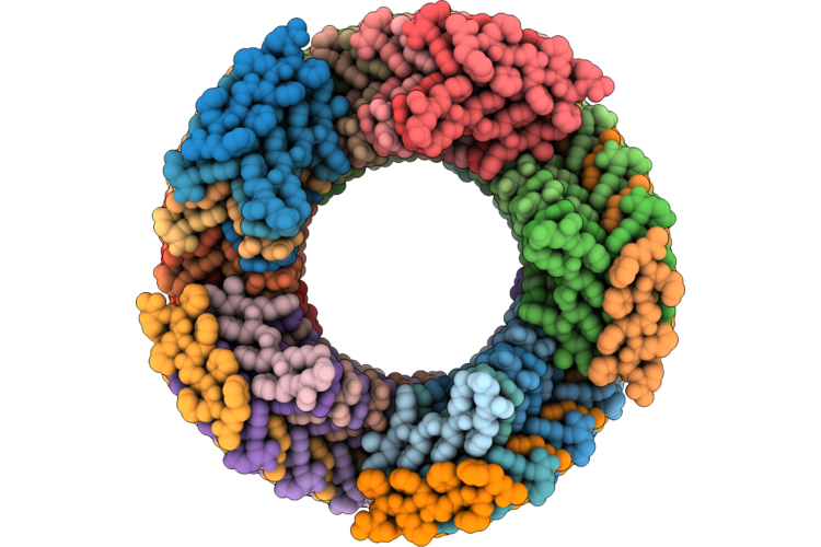9PDV image