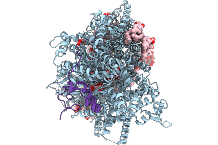 9PE2 image
