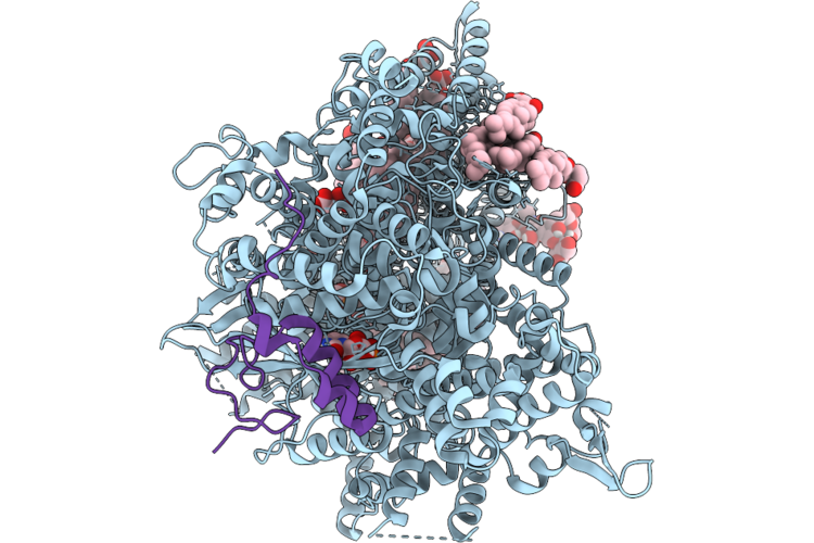 9PE3 image