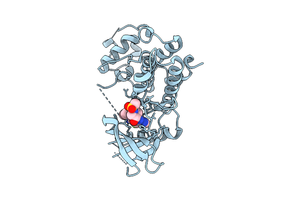 9PE7 image
