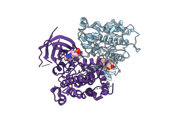 9PE9 image
