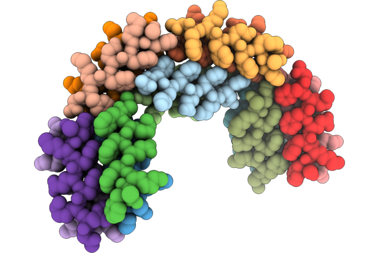 9PEG image