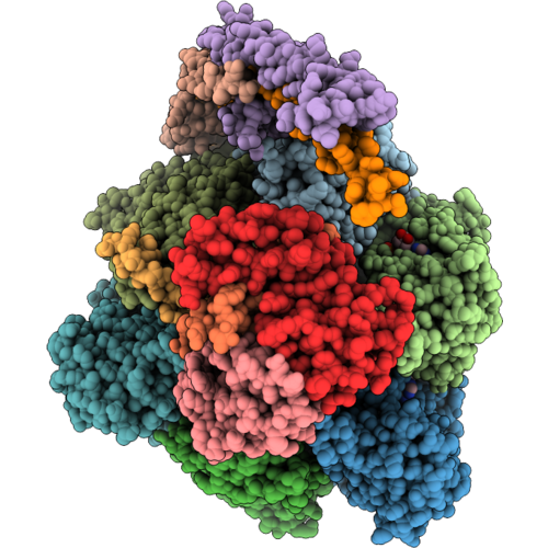 9PEX image