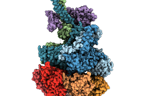 9PF1 image
