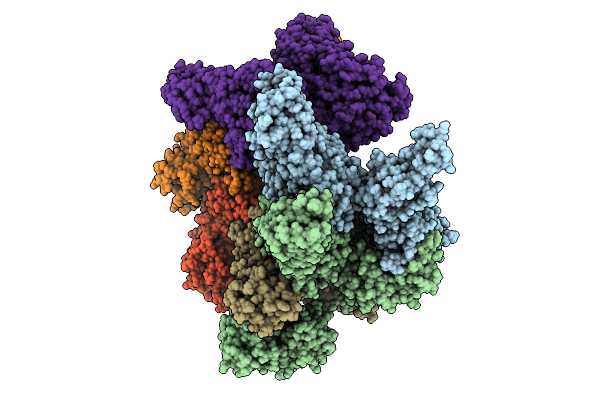 9PF2 image