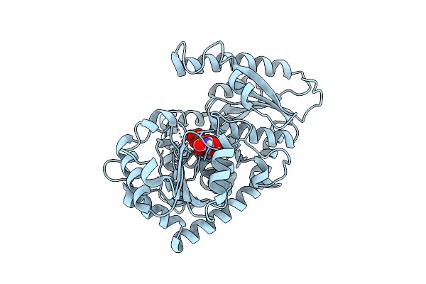 9PF3 image