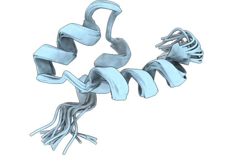 9PFE image