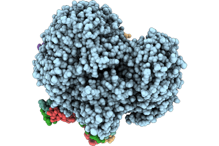 9PFR image