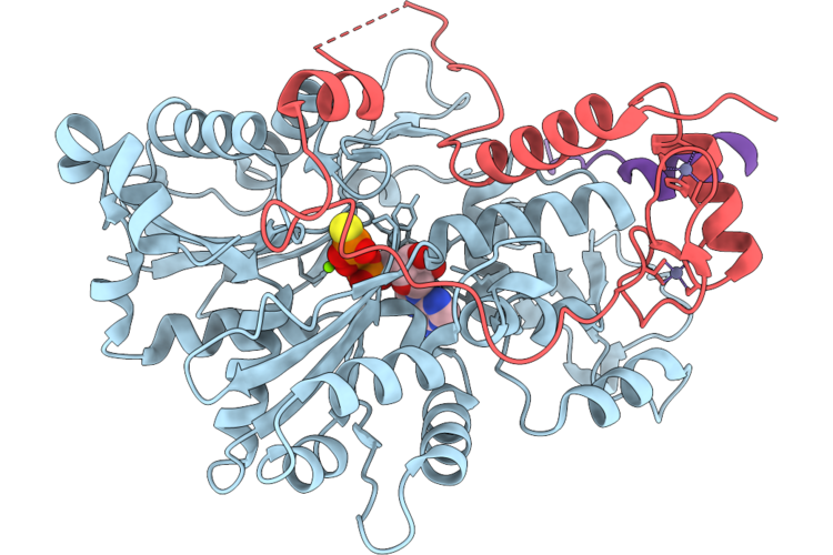 9PGD image