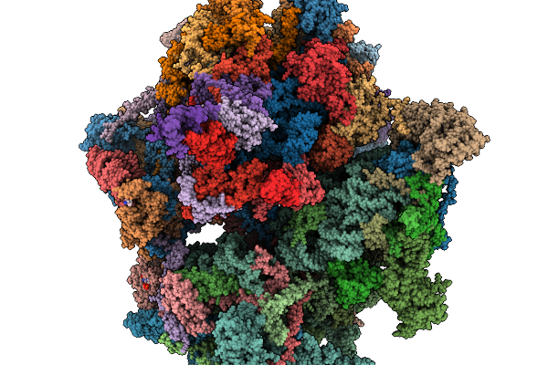 9PGF image