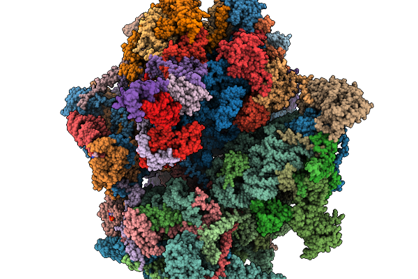 9PGM image