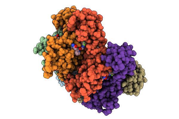 9PGU image
