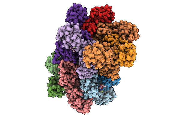 9PGV image