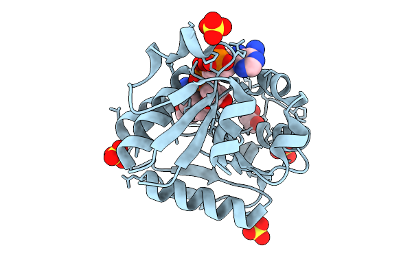 9PGW image