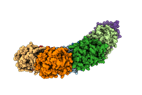 9PHB image