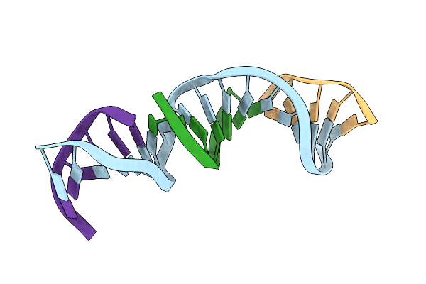 9PHI image