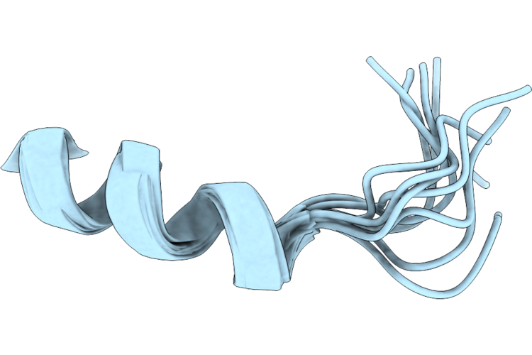 9PHJ image