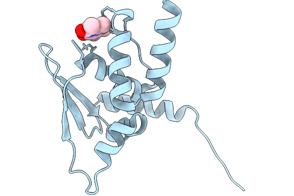 9PHR image