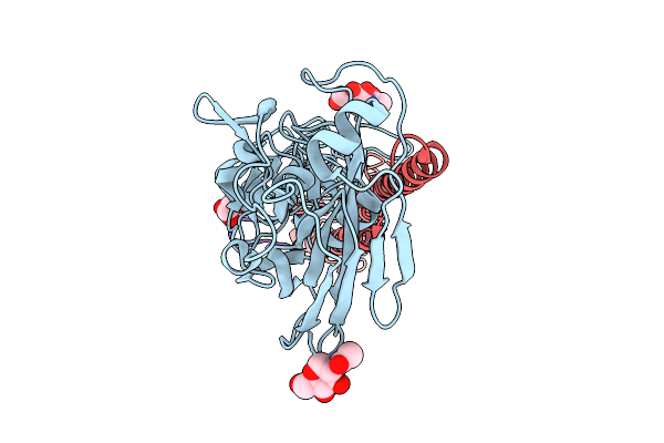 9PHT image