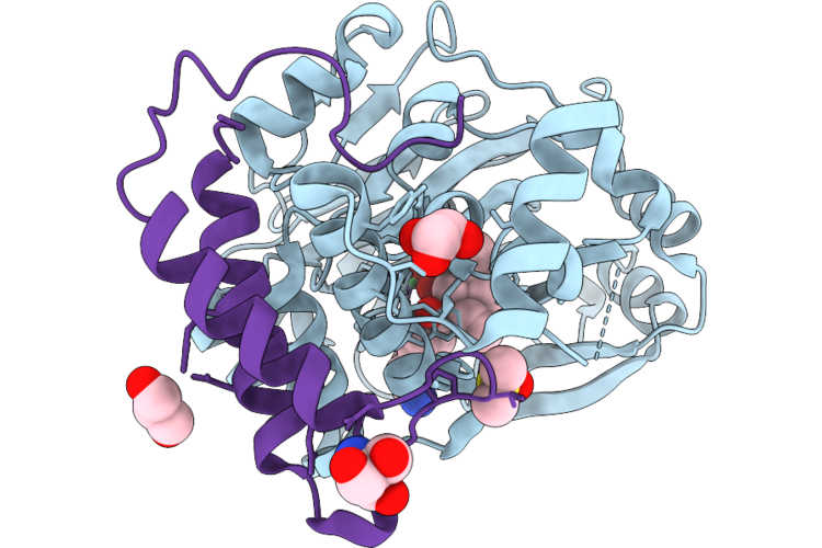 9PHV image