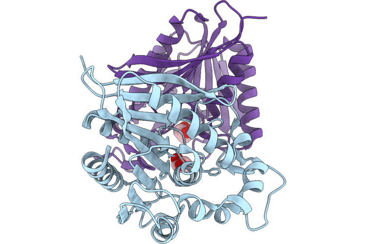 9PID image