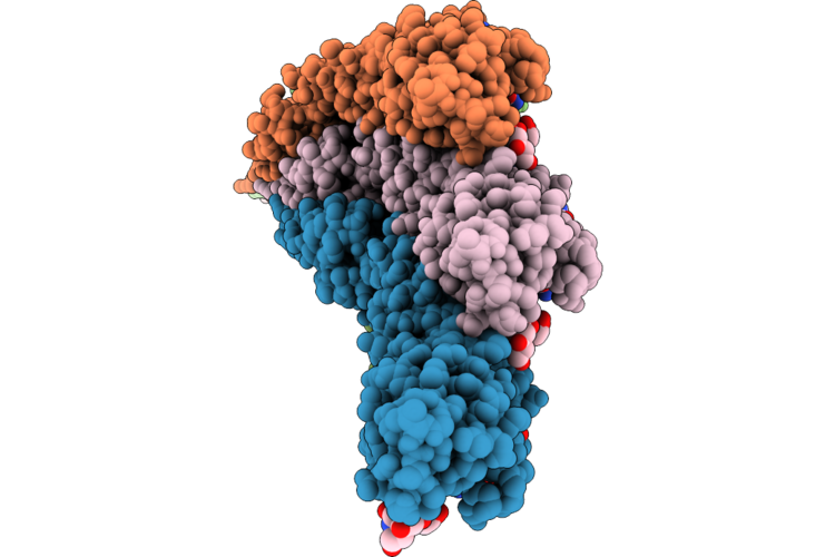 9PIL image