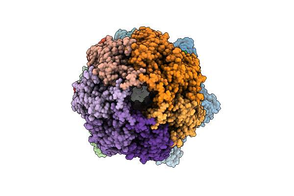 9PIO image