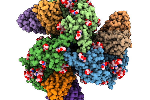 9PIV image